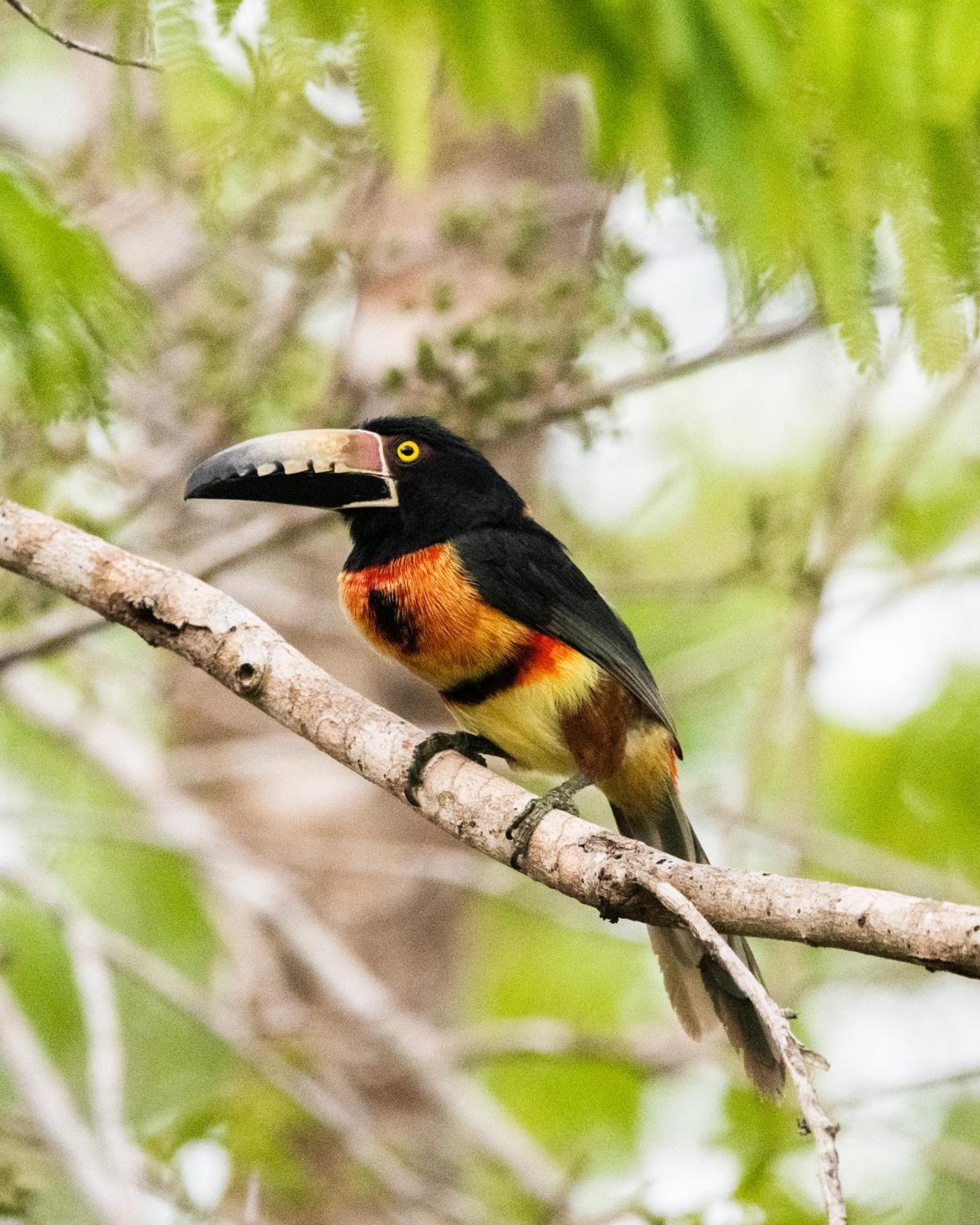 Azul Nomeolvides Villa Bacalar Kültér fotó